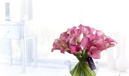 Four Seasons Florists