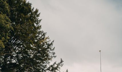 The Newtons Film & Photography -