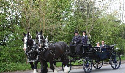 Warwick Shire Horse Carriages