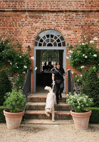 The Wedding Day Dog Chaperones