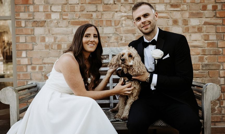 The Wedding Day Dog Chaperones