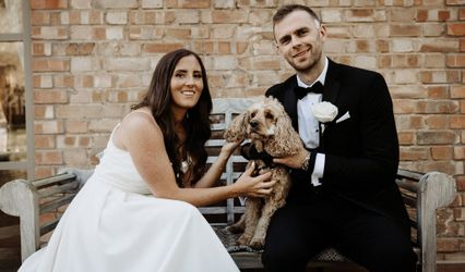 The Wedding Day Dog Chaperones