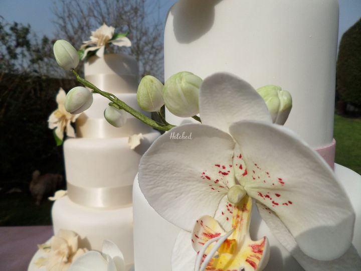 At Your Wish Cakes