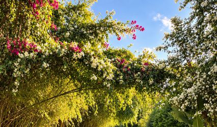 Le Stanze in Fiore