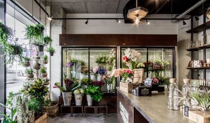 Daerdy Flowers