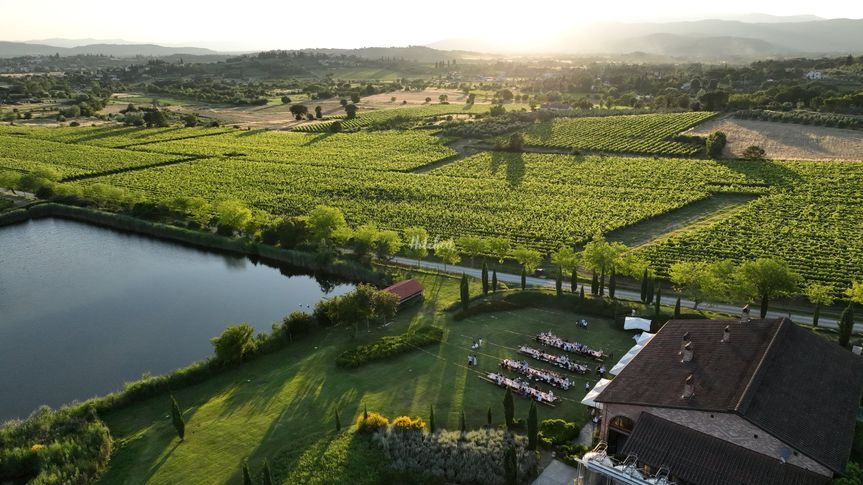 Il Palazzo Agriturismo & Winery