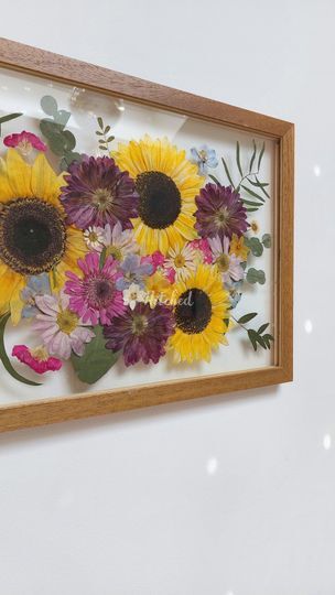 Amber and Wild Studios