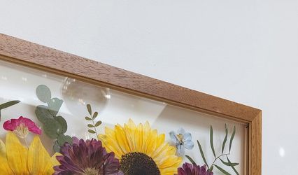 Amber and Wild Studios