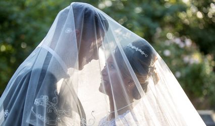 Another Amazing Wedding Video