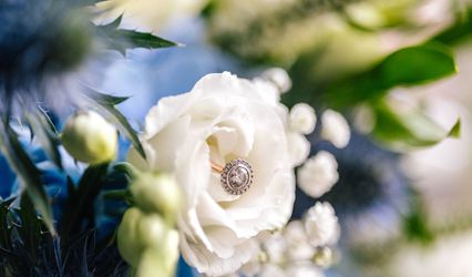 FANCI Fine Jewellery Wedding Rings