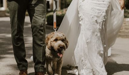 Days Doggy Day Care