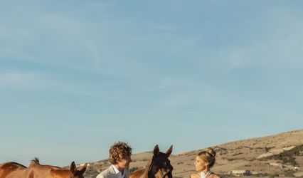 H264films