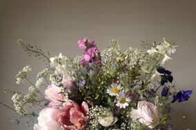 The Petal Story