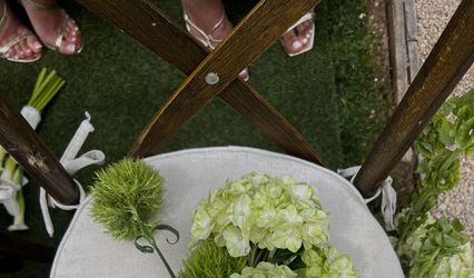 Emily Elaina Grace Events