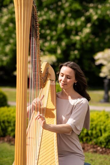 Elinor Harp