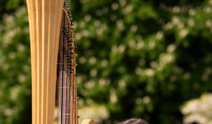 Elinor Harp