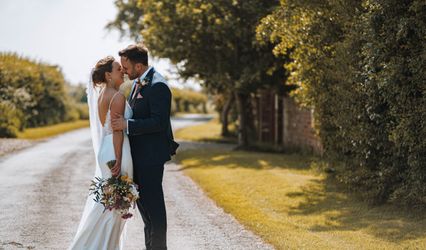 Tigra wood photography