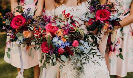 Ginger Lily Florists
