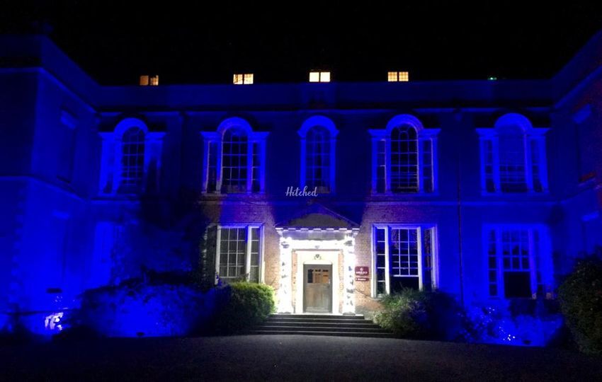 Brown Dog Event Lighting