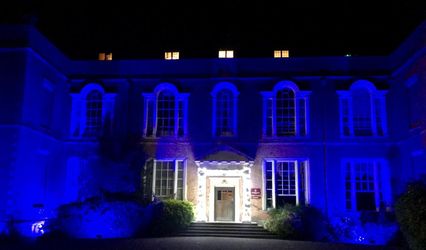 Brown Dog Event Lighting
