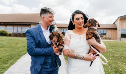 Somerset Wedding Day Dog Chaperone Service
