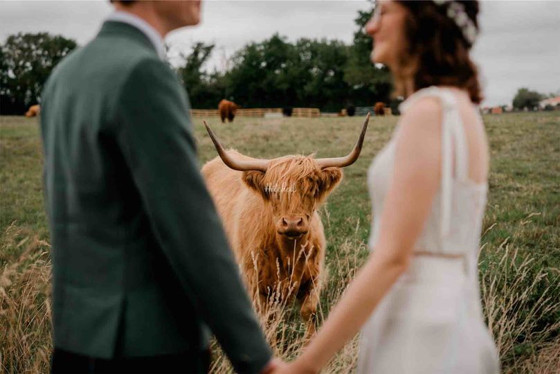 LUX Wedding Photography
