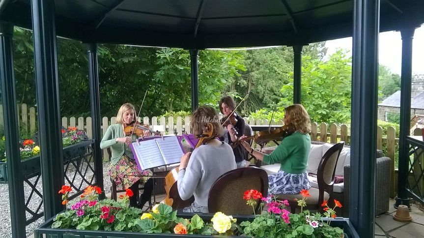 Elysia String Quartet