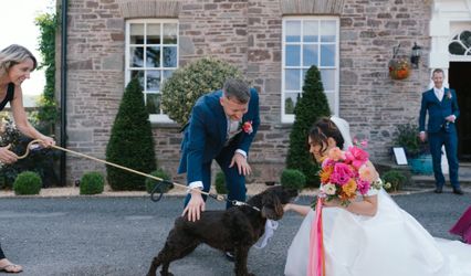 Pawsitive Pets wedding chaperone