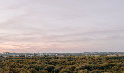 Royle Forest Weddings