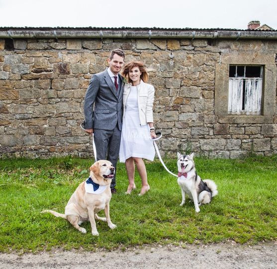 4Paws Wedding Dog Chaperone Service