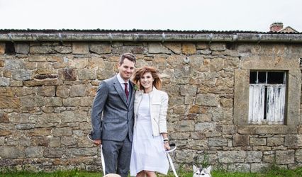 4Paws Wedding Dog Chaperone Service