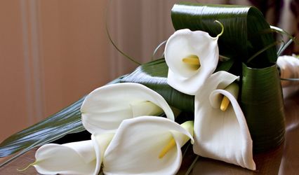 Jane Pillinger Wedding Flowers