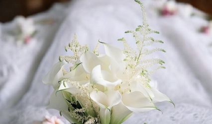 Allison Petals