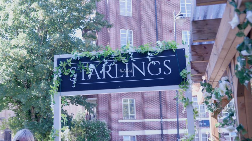 Starlings