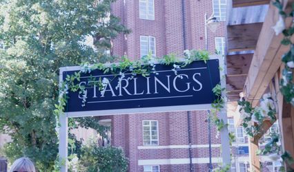 Starlings