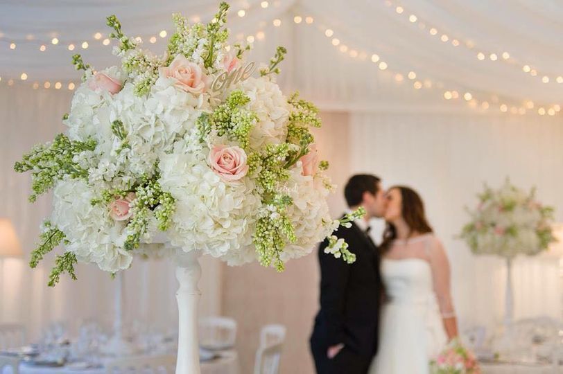 Tineke floral designs Ltd