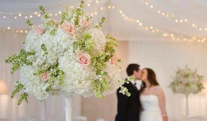 Tineke floral designs Ltd