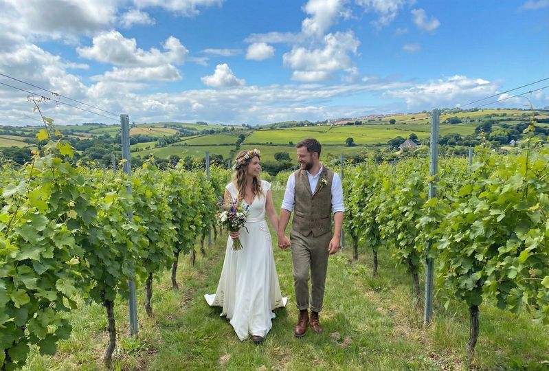 The Atlantic Vineyard