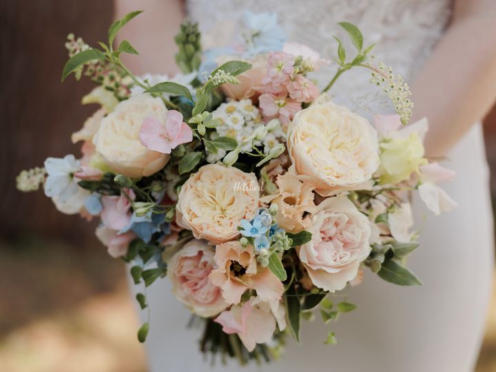 Aisha King Floral Design