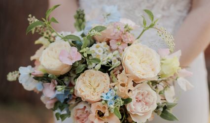 Aisha King Floral Design