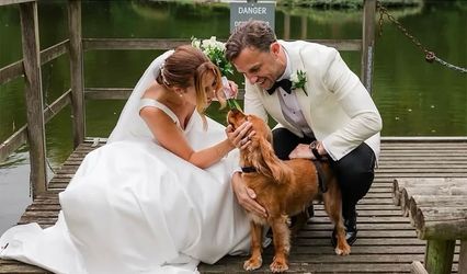 Little Paws Of Sussex