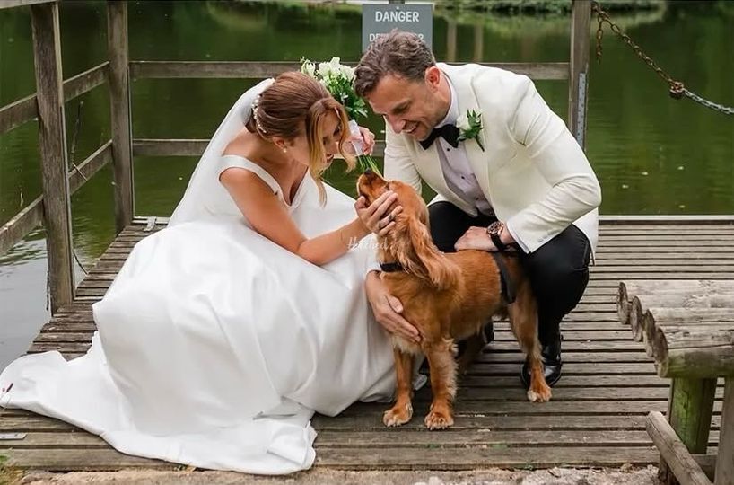 Little Paws Of Sussex