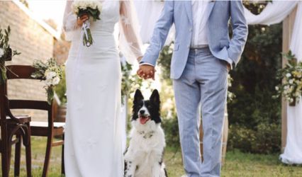 A Very Good Guest - Dog chaperone service