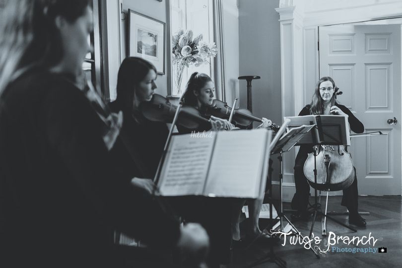 440 String Quartet