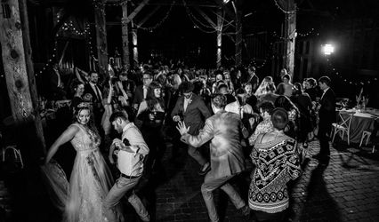 Festival Wedding DJs