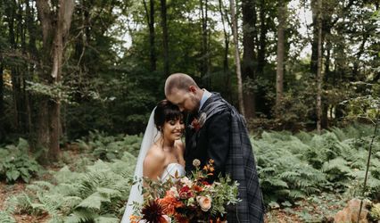 Donna Murray Photography