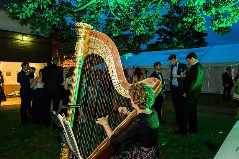 The Enchanted Harp
