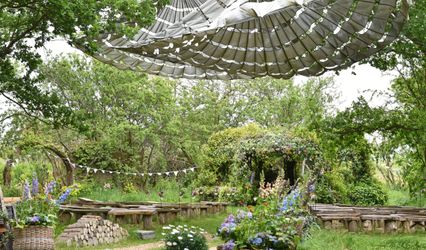 The Oak Grove