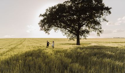 Alex Daniel Weddings
