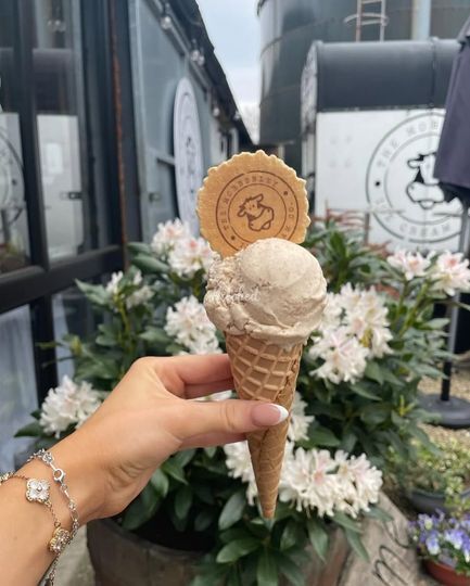 The Mobberley Ice Cream Company
